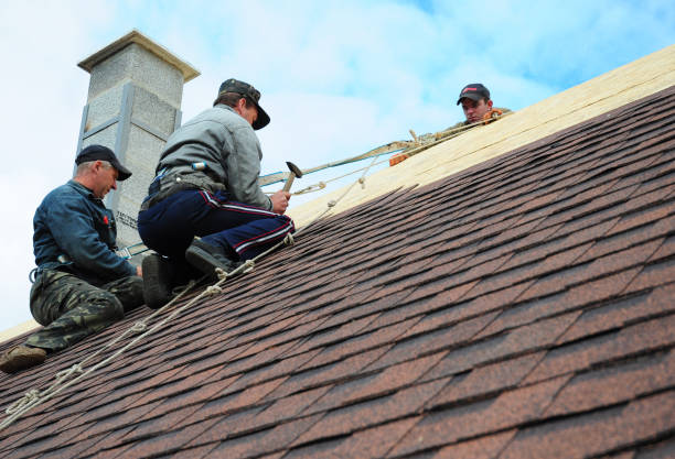 Best Shingle Roofing Installation  in Steep Falls, ME